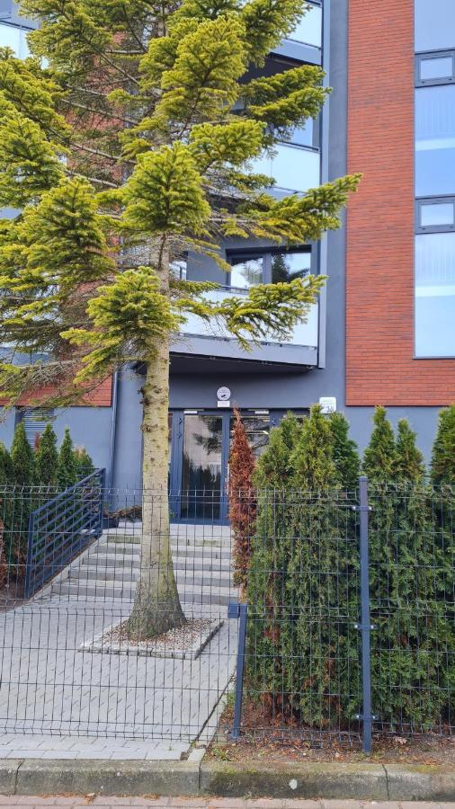 Daira Apartments أوسترونيه مورسكية المظهر الخارجي الصورة